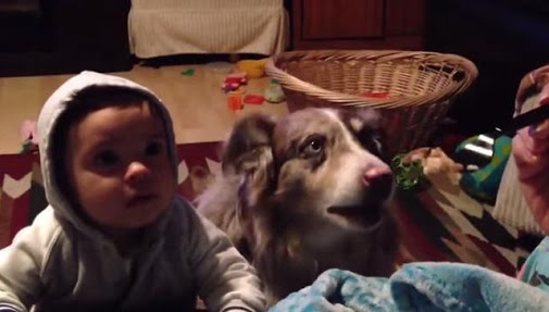 El beb&eacute; intenta hablar pero el perro se adelanta