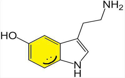 Serotonina, &iquest;La clave de la depresi&oacute;n?