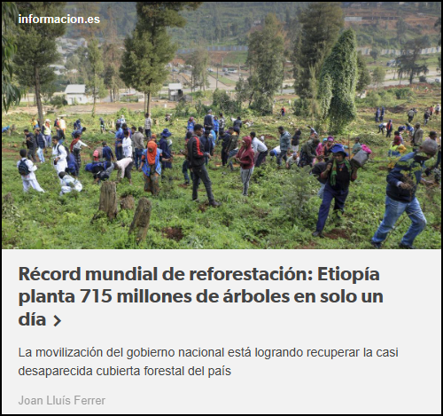  Etiop&iacute;a planta 715 millones de &aacute;rboles en solo un d&iacute;a