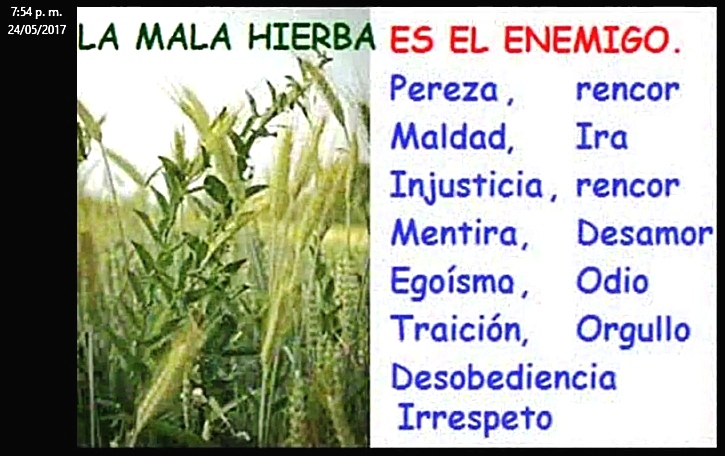 &iquest;D&oacute;nde est&aacute; la falla?