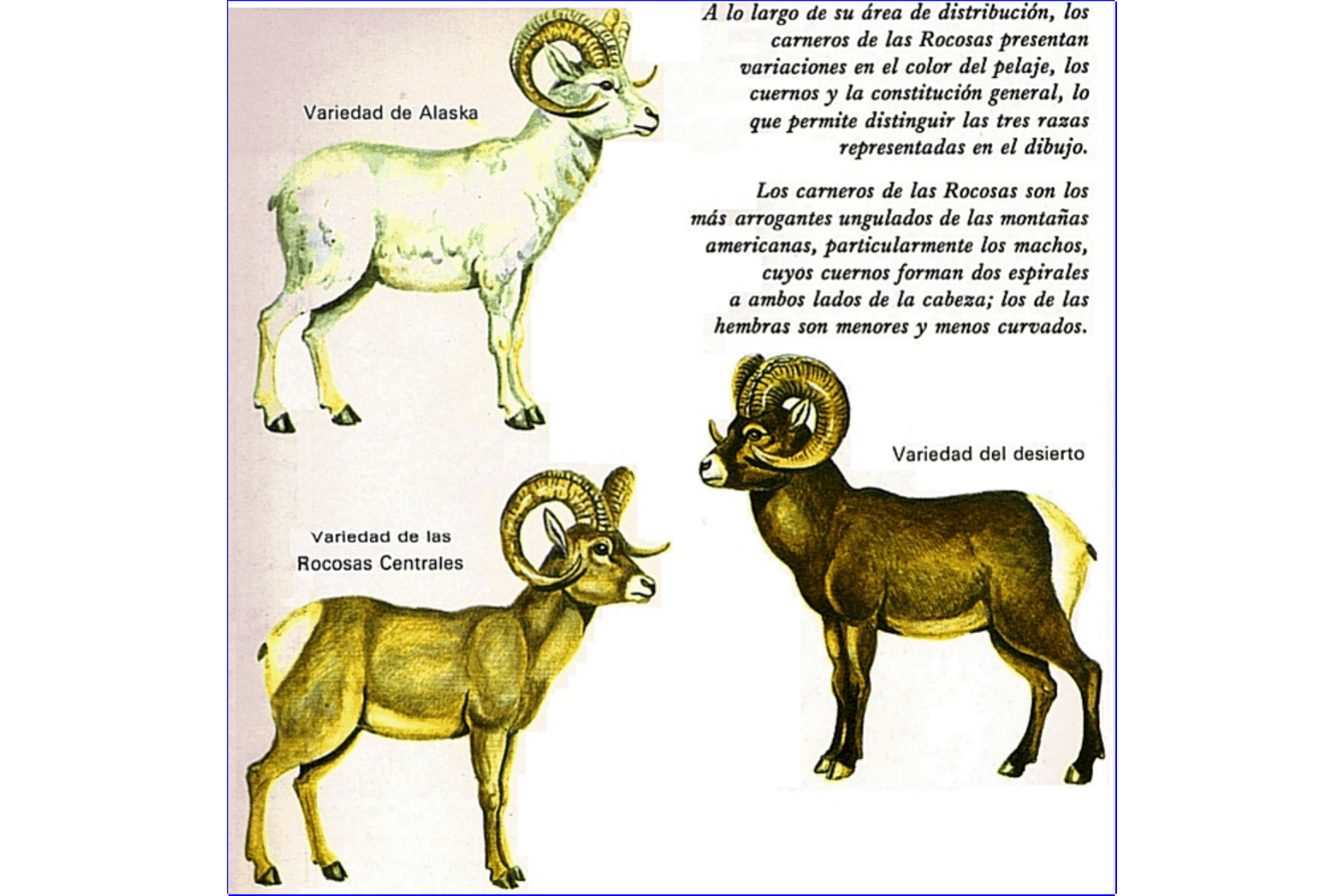 DATOS CURIOSOS
