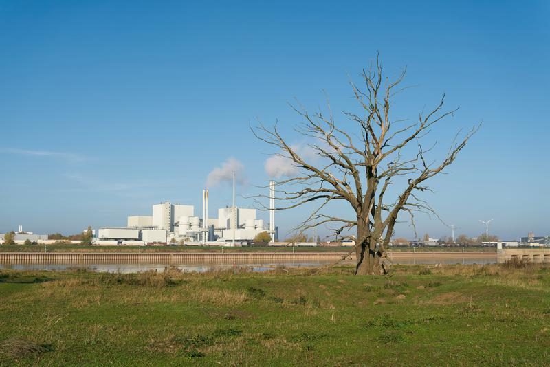 Empresas: &iquest;Est&aacute;n preparadas para mitigar riesgos  generados por el cambio clim&aacute;tico?