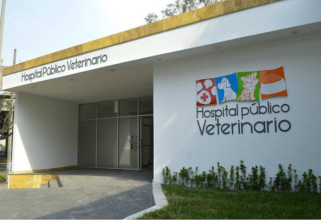  M&eacute;xico abre su primer hospital p&uacute;blico para animales