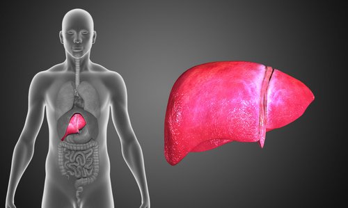 C&oacute;mo limpiar tu higado de forma natural 