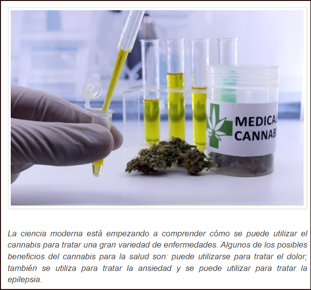 Para cu&aacute;ndo cannabis curativo contra el dolor, la ansiedad la epilepsia y la progresi&oacute;n de Alzheimer