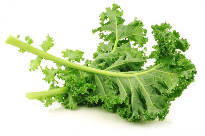  &iquest;C&oacute;mo preparar zumos a base de kale?