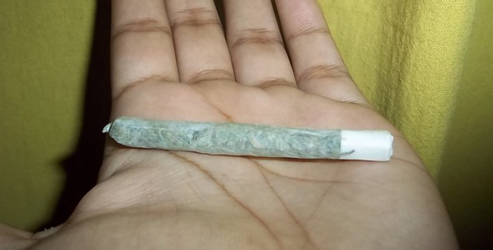 LA MARIHUANA ES DA&Ntilde;INA PARA FUMADORES Y PASIVOS