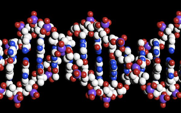 Cient&iacute;ficos revelan la "gu&iacute;a del genoma humano" y c&oacute;mo funciona el ADN