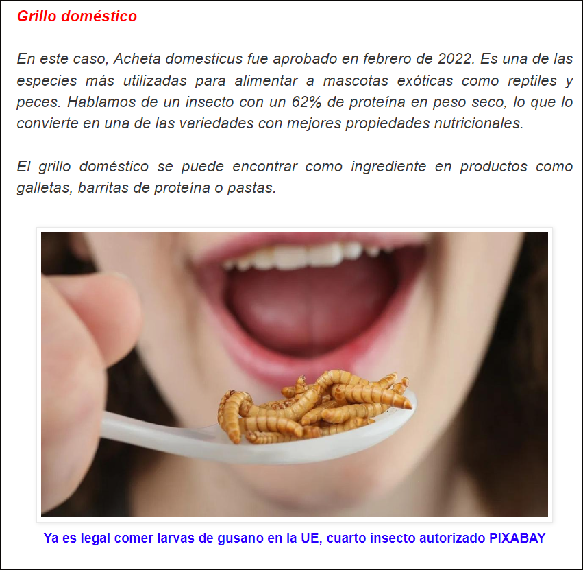  Insectos: &iquest;La alimentaci&oacute;n del futuro? Llevan prote&iacute;nas y mejoran los niveles del colesterol