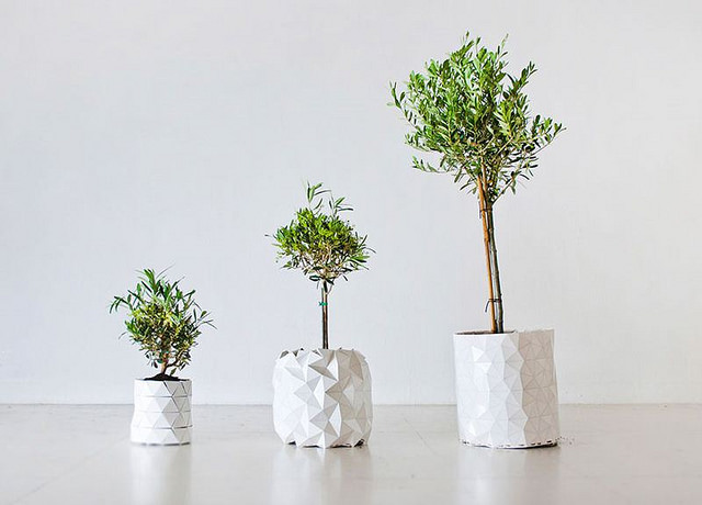 Esta novedosa maceta crece junto a la planta que contiene