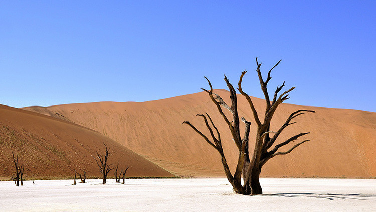  Calor extremo: Para el 2050 varios pa&iacute;ses ser&aacute;n inhabitables:  