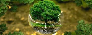 Imprenta ecol&oacute;gica