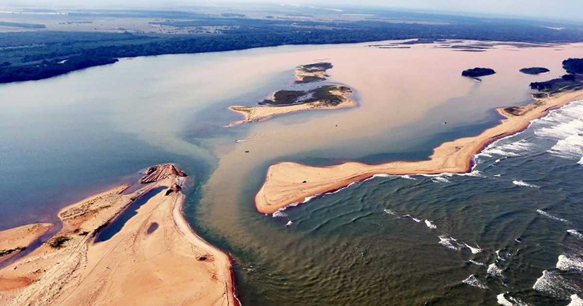 La peor cat&aacute;strofe ambiental, contaminaron la cuenca del r&iacute;o Doce en el Brasil.