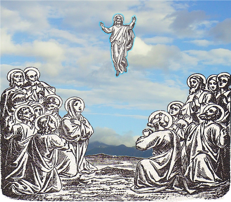 Virgen Inmaculada ayudanos contra las ijurias que te lanzan DENTRO DE LAS IGLESIAS &iexcl;los HPs curas!