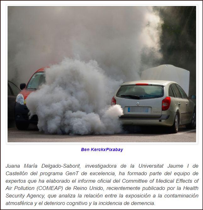 Un estudio demuestra que la contaminaci&oacute;n atmosf&eacute;rica contribuye al deterioro mental y la demencia