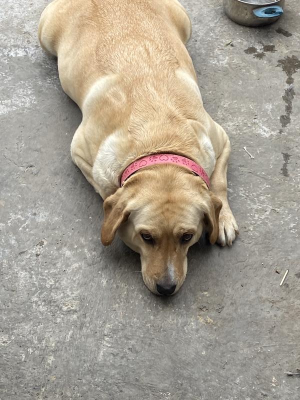 Kendra Mariposa es culpable de comer mucho y se hace la inocente    