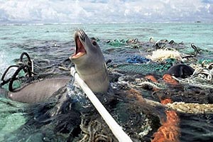 ECO GOBIERNO GLOBAL PLANETARIO DESCONTAMINARA LOS OC&Eacute;ANOS