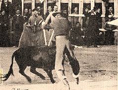  EFEM&Eacute;RIDES taurinas 25 octubre