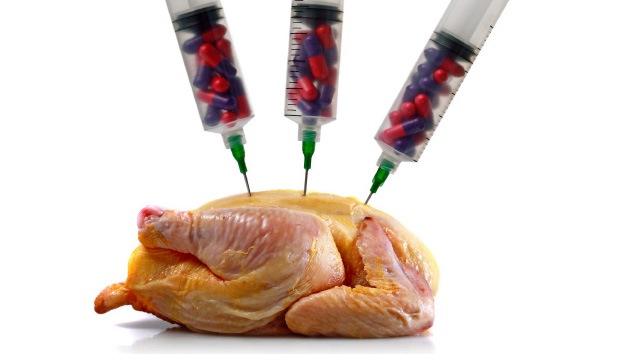 Siete razones por las que los pollos no se alimentan con hormonas