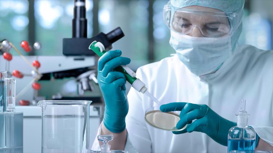 Cient&iacute;ficos prueban en gusanos un nuevo m&eacute;todo para alargar la vida: