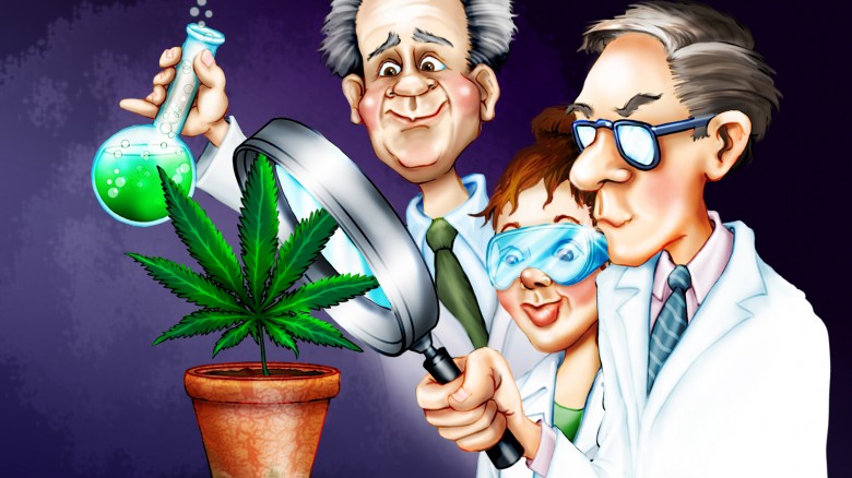  Las catastr&oacute;ficas cifras del primer Estado (EE.UU.), en legalizar la marihuana.