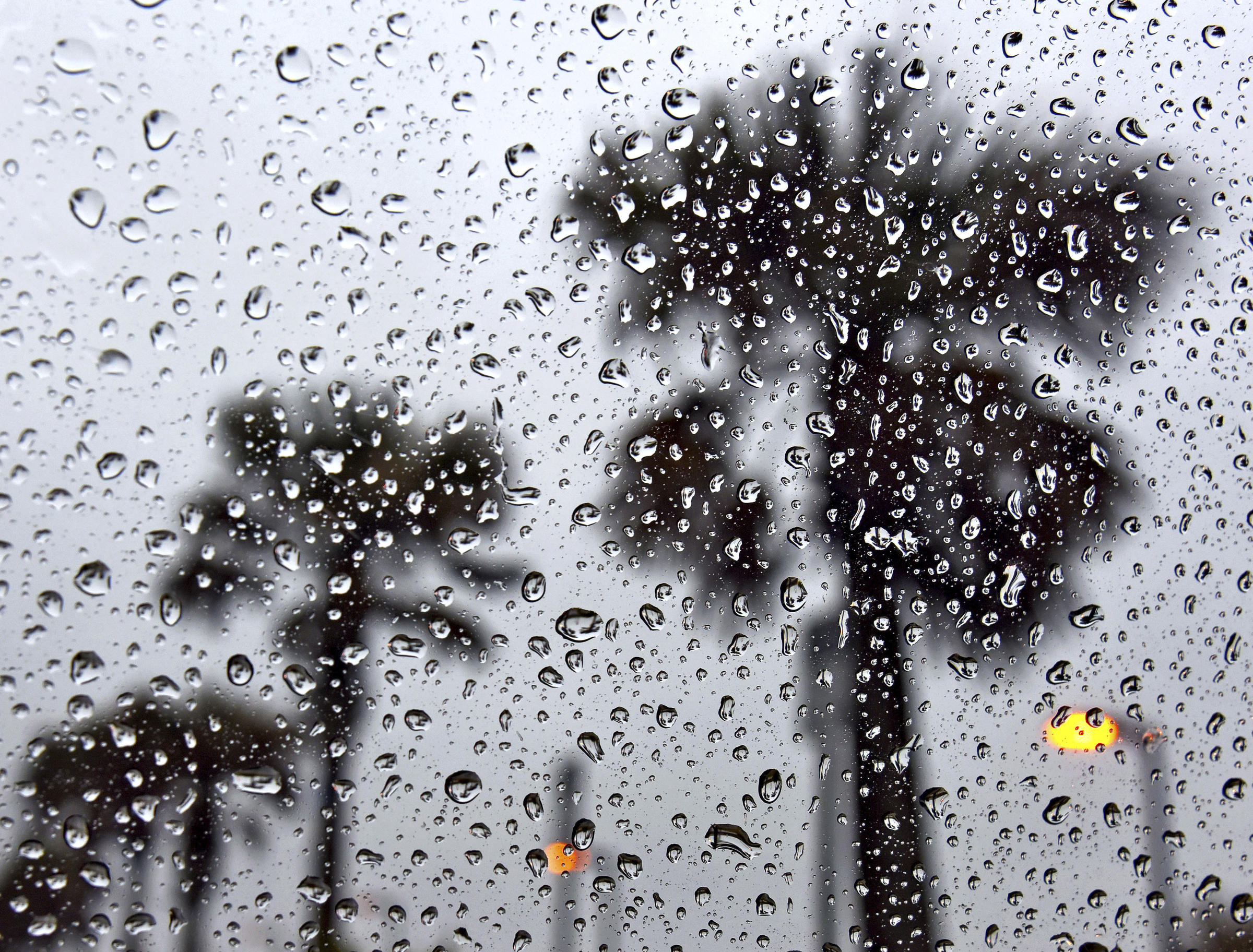 Palm Beach County opens emergency shelters due to cold temperatures for  the cold wave