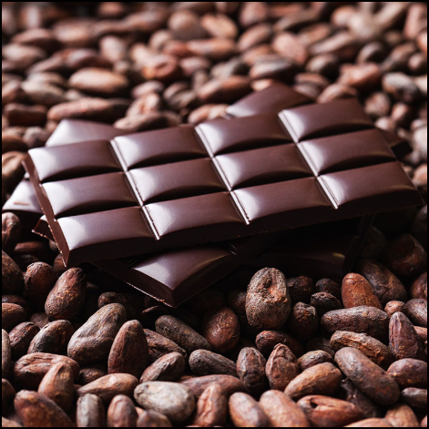  Chocolate: Nuevamente a examen