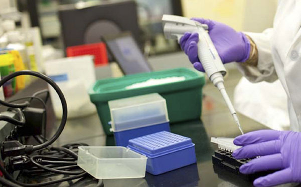 Nanopart&iacute;culas de colesterol sint&eacute;tico con "coraz&oacute;n de oro" matan el linfoma de c&eacute;lulas B