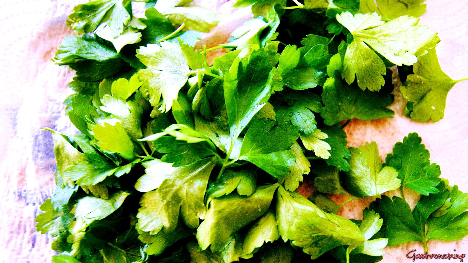 Esta hierba usual en la cocina es un guerrero perfecto para combatir el c&aacute;ncer de pulm&oacute;n