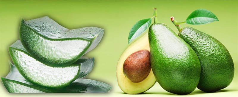Como Preparar Una Crema Casera De &Aacute;loe Vera y Aguacate Para La Piel