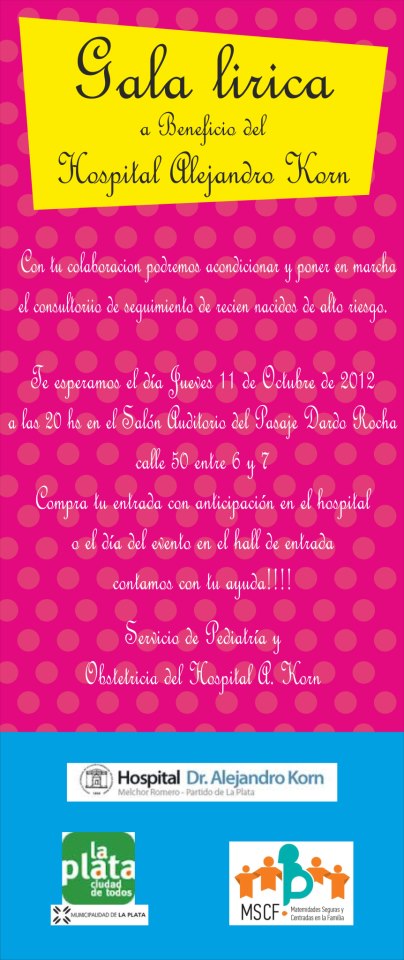 Gala l&iacute;rica a beneficio del servicio de pediatr&iacute;a del hospital de Romero
