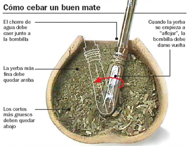 A que no sabias todo esto sobre el mate??