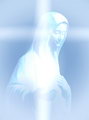 MENSAJE DE LA VIRGEN DE MEDJUGORJE 