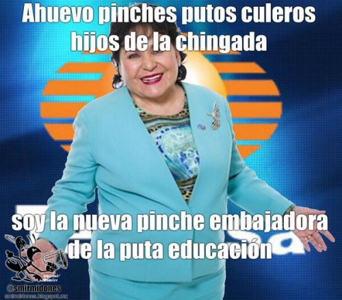 *Televisa, la nueva Secretaria de Educaci&oacute;n P&uacute;blica-Privada