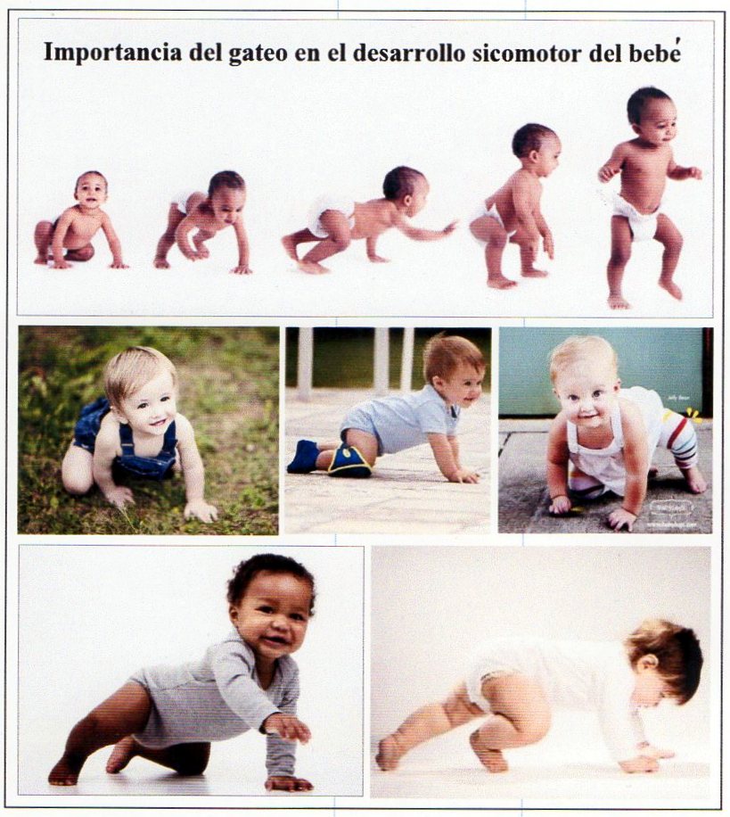  La importancia de gatear para leer y escribir
