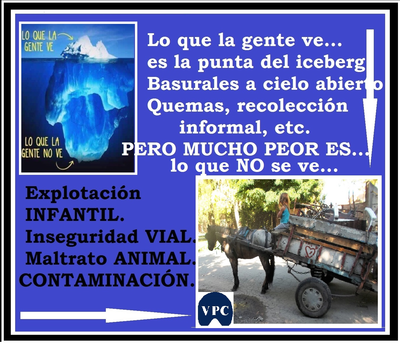 BASTA DE CARREO CON CABALLOS EN EL ASFALTO.