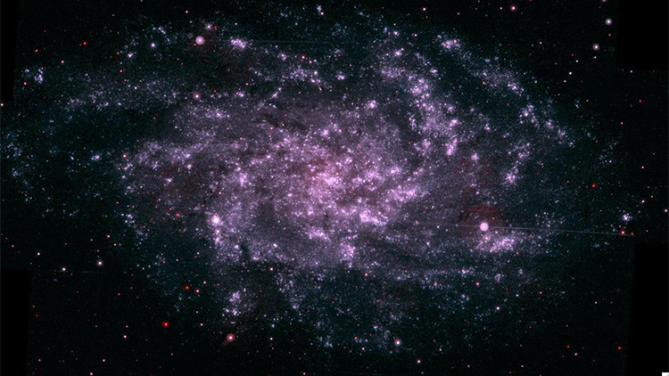 &iquest;Vivimos dentro de un extraterrestre?: Un cient&iacute;fico sugiere por qu&eacute; no encontramos vida alien&iacute;gena: