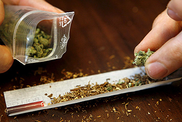 Estudio demuestra que fumar marihuana es 114 veces m&aacute;s seguro que beber alcohol