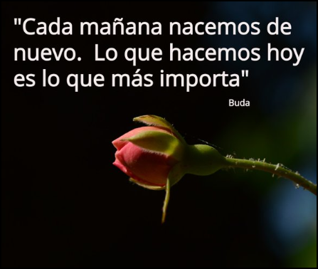 Estoy haciendo algo mal?