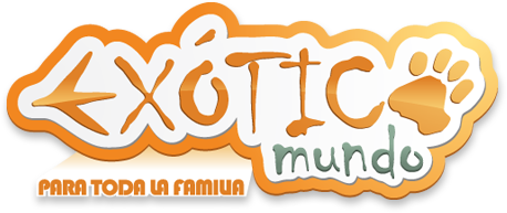 &iexcl;IMPERDIBLE!