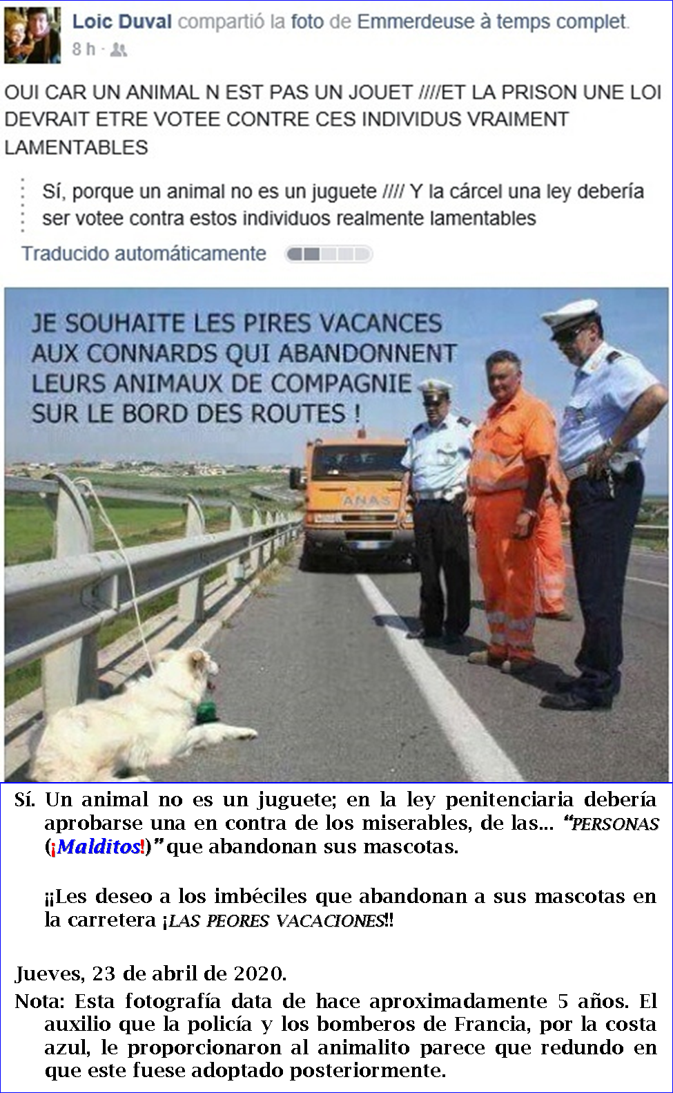 El perro abandonado y su mejor amigo del 'perro gu&iacute;a' buscan un hogar amoroso juntos (traducci&oacute;n)