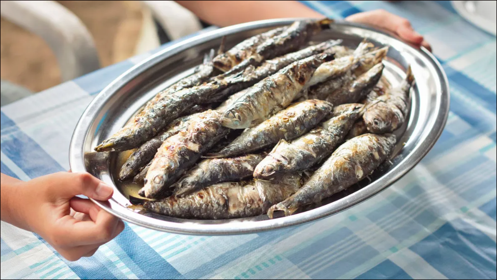  La relaci&oacute;n entre el consumo de pescado azul y el c&aacute;ncer de pr&oacute;stata