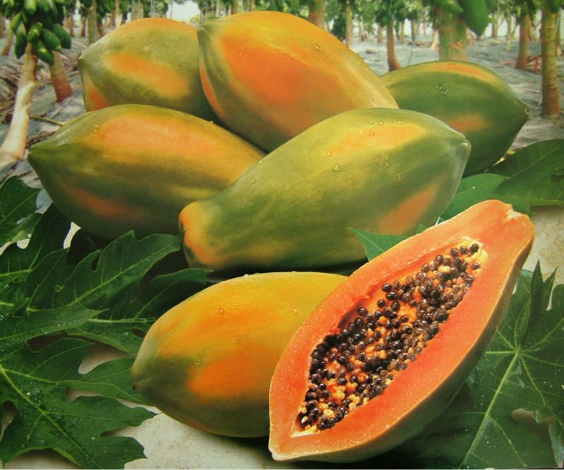 Papaya para bajar la presi&oacute;n alta