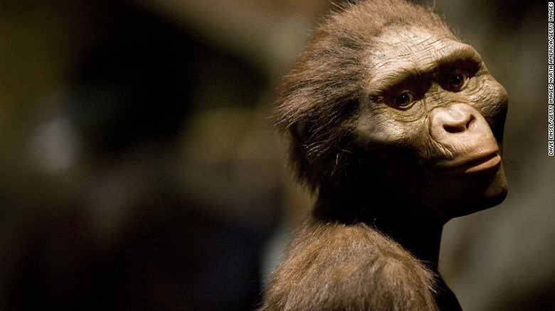 As&iacute; muri&oacute; Lucy, nuestro ancestro m&aacute;s antiguo