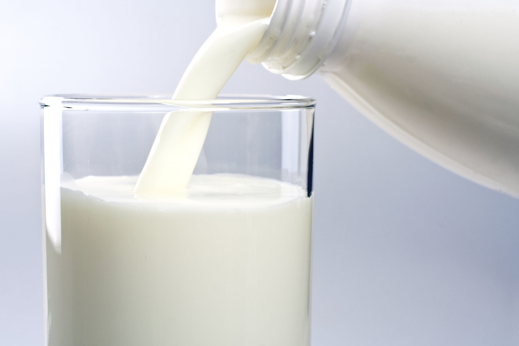 La leche de vaca es para las vacas, no para los humanos