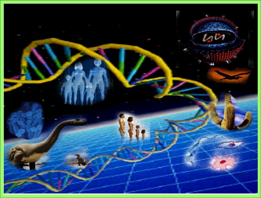&iquest;EXTRATERRESTRES MODIFICARON A LOS HUMANOS? : 