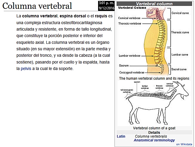 Helaje en el dorso de los pies, y de cintura