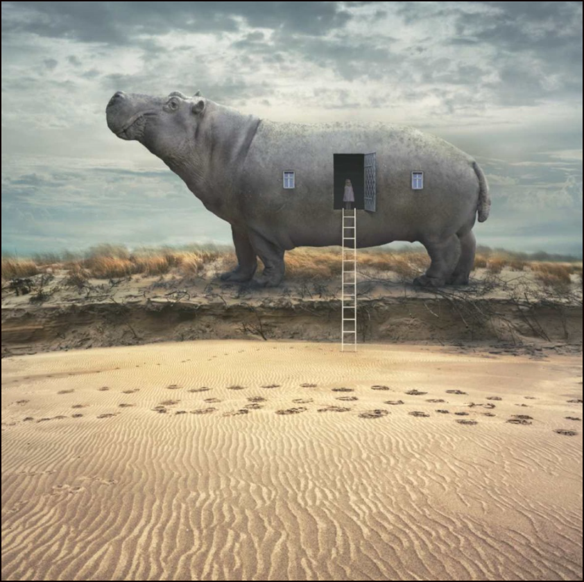  Dariusz Klimczak: El arquitecto del surrealismo fotogr&aacute;fico
