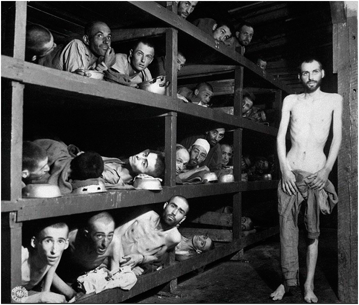  La humanidad tropieza cuando deja de mirar atr&aacute;s.