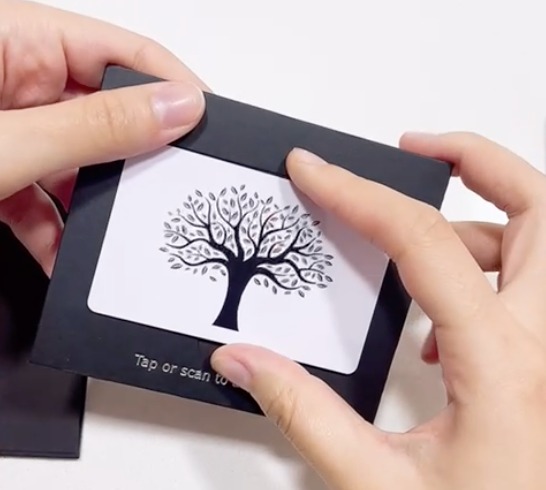 Plataforma de Identidad Digital que fomenta el networking inteligente y sostenible: 1vCard